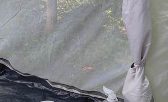 Chelsie B.'s photo of camping with pets at Narrows Reserve near Yellow Springs, OH