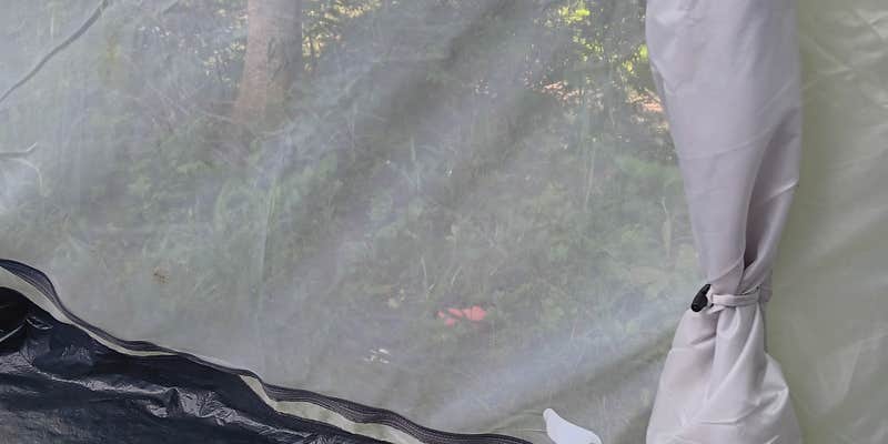 Camper submitted image from Narrows Reserve