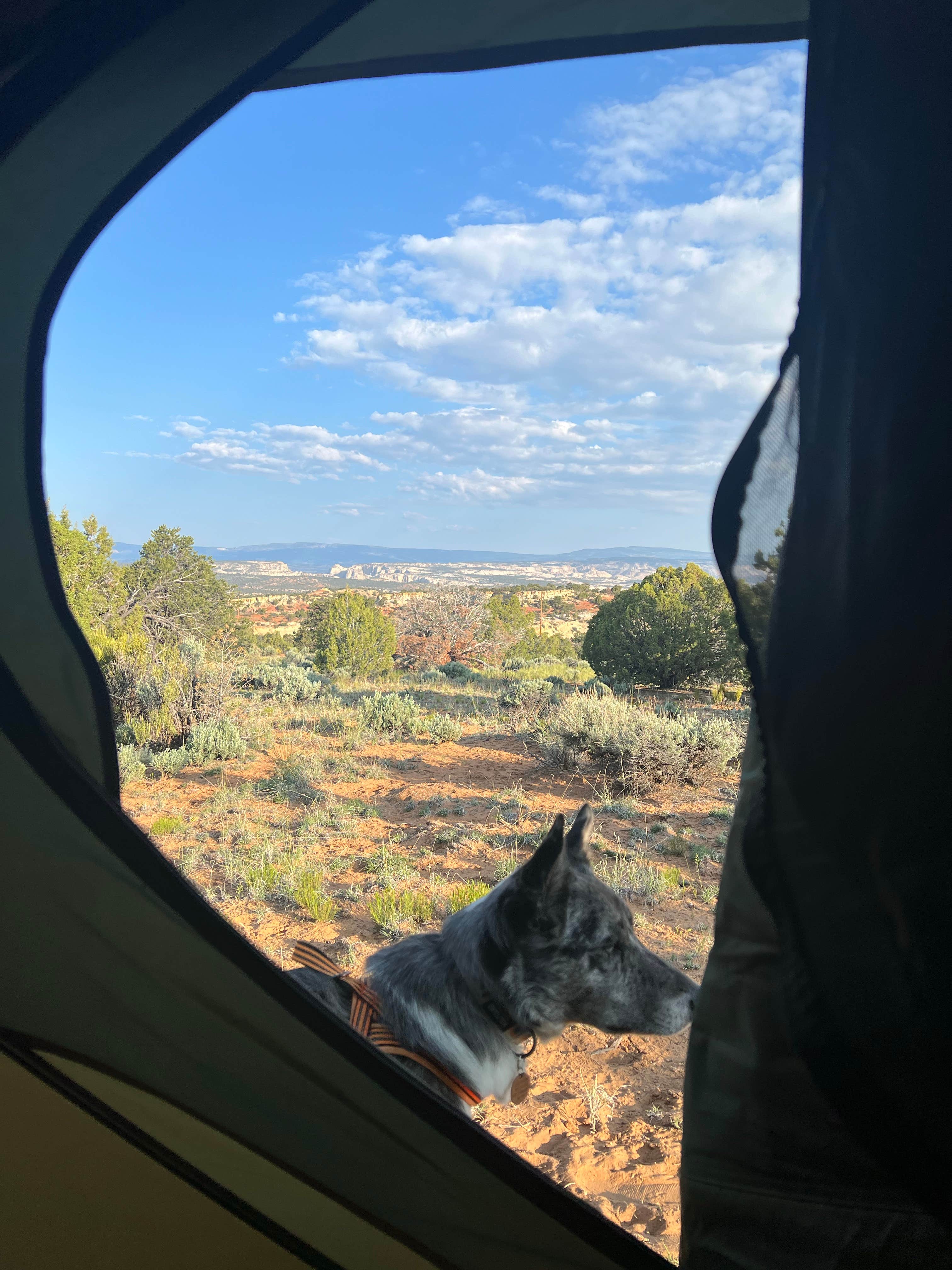 Camper submitted image from Head of the Rock dispersed - 2