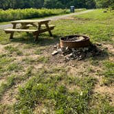 Review photo of Brown Bike Farms by Penny B., May 25, 2023