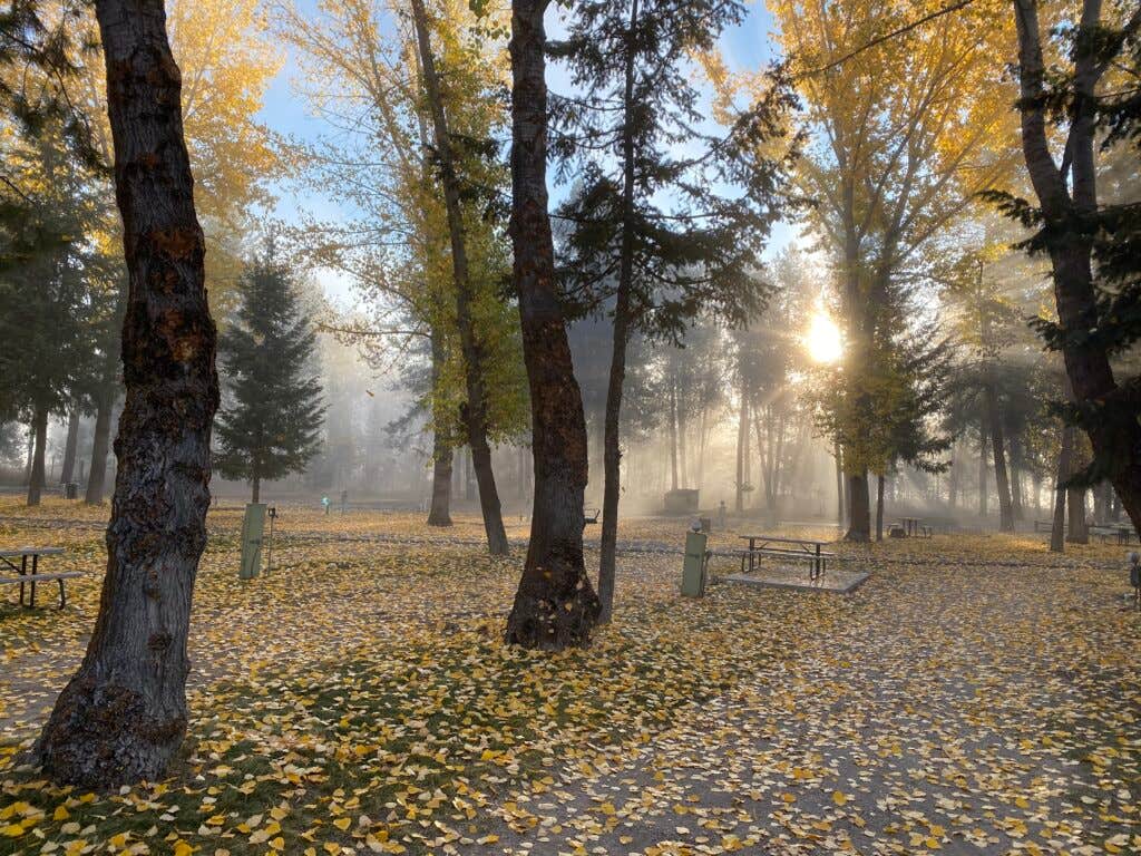 Camper-submitted photo at Alpine Lodge and RV near Cascade, ID