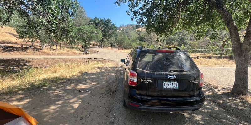 Camper submitted image from Trimmer Campground