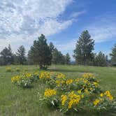 Review photo of Storm Hill BLM Land Dispersed Site by Michael S., May 25, 2023