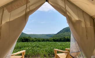 The Dyrt's photo at Tentrr State Park Site - NY Taconic State Park: High Valley Rd Site D near Copake Falls, NY