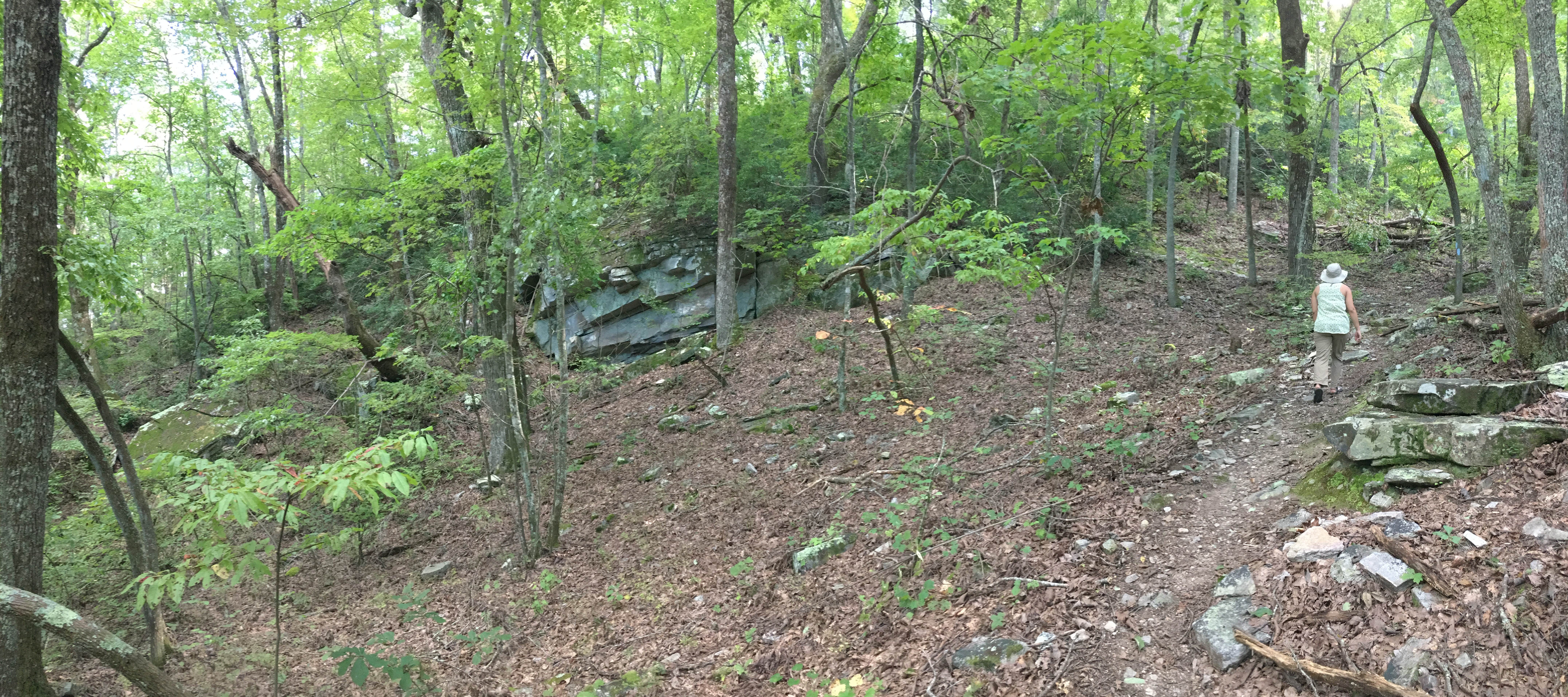 Camper-submitted photo at Blue Mountain Shelter - on the AT near Weaver, AL