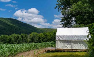 The Dyrt's photo at Tentrr State Park Site - NY Taconic State Park: High Valley Rd Site C near Copake Falls, NY