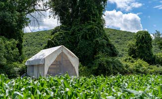The Dyrt's photo at Tentrr State Park Site - NY Taconic State Park: High Valley Rd Site C near Copake Falls, NY