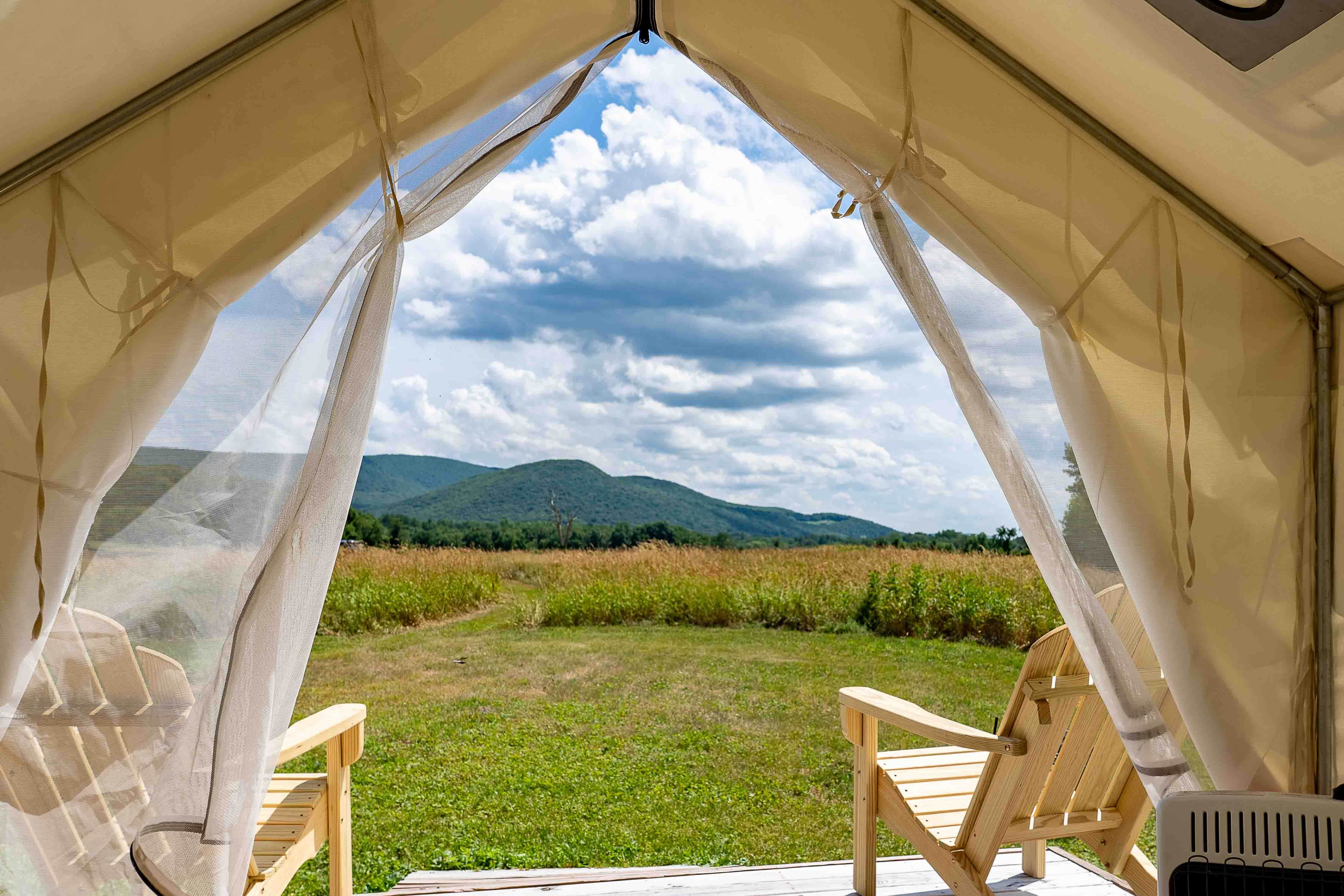 The Dyrt's photo at Tentrr State Park Site - NY Taconic State Park: Orphan Rd Site D near Craryville, NY