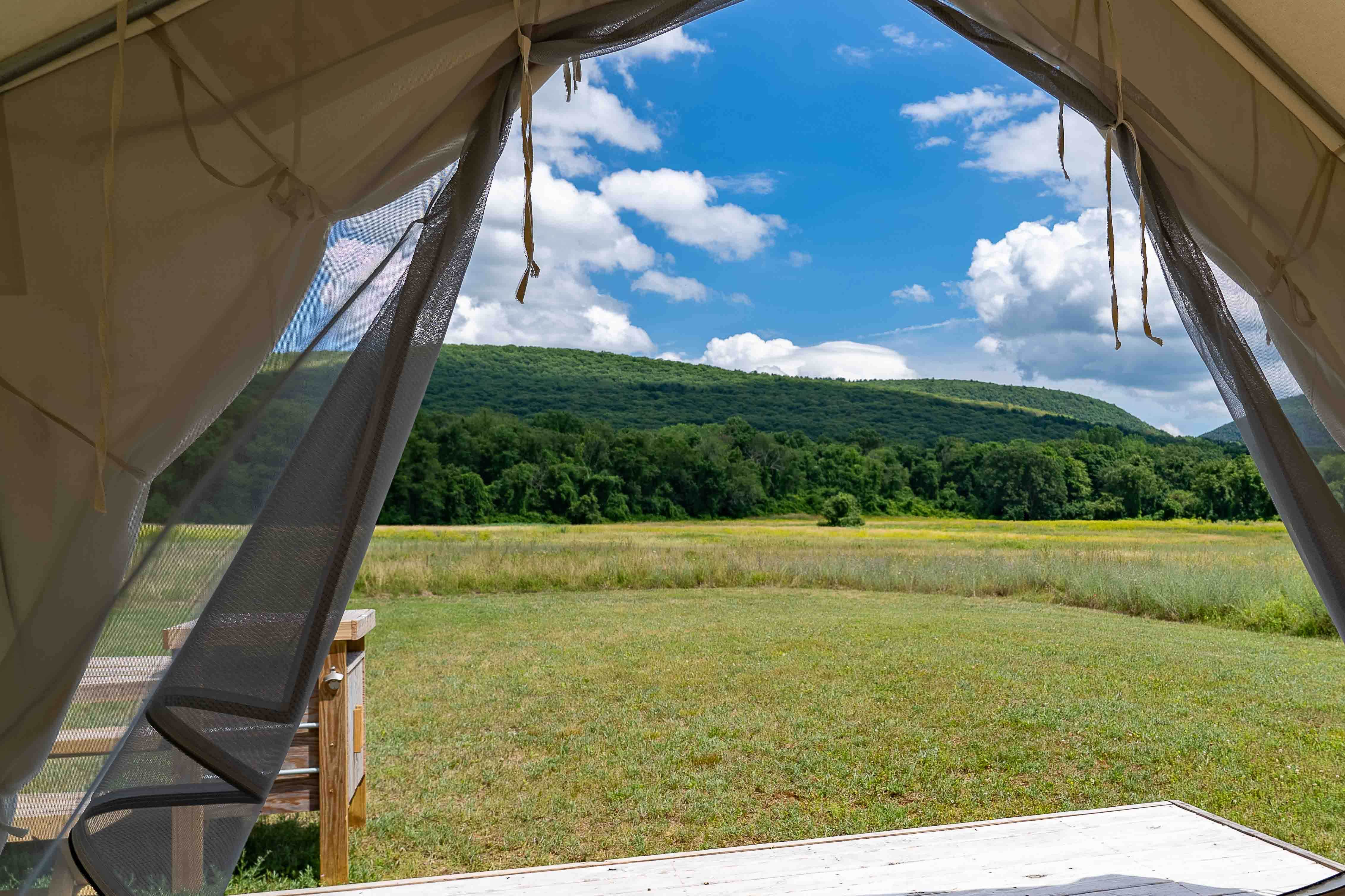 The Dyrt's photo at Tentrr State Park Site - NY Taconic State Park: Orphan Rd Site B near Craryville, NY