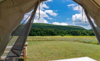 The Dyrt's photo at Tentrr State Park Site - NY Taconic State Park: Orphan Rd Site B near Copake Falls, NY