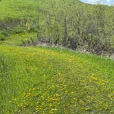 Review photo of Lac qui Parle Upper Campground — Lac qui Parle State Park by Calvin P., May 25, 2023