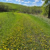 Review photo of Lac qui Parle Upper Campground — Lac qui Parle State Park by Calvin P., May 25, 2023