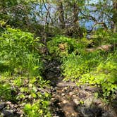 Review photo of Lac qui Parle Upper Campground — Lac qui Parle State Park by Calvin P., May 25, 2023