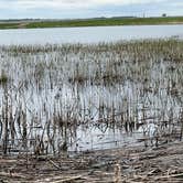 Review photo of Lac qui Parle Upper Campground — Lac qui Parle State Park by Calvin P., May 25, 2023