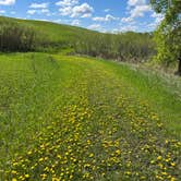 Review photo of Lac qui Parle Upper Campground — Lac qui Parle State Park by Calvin P., May 25, 2023