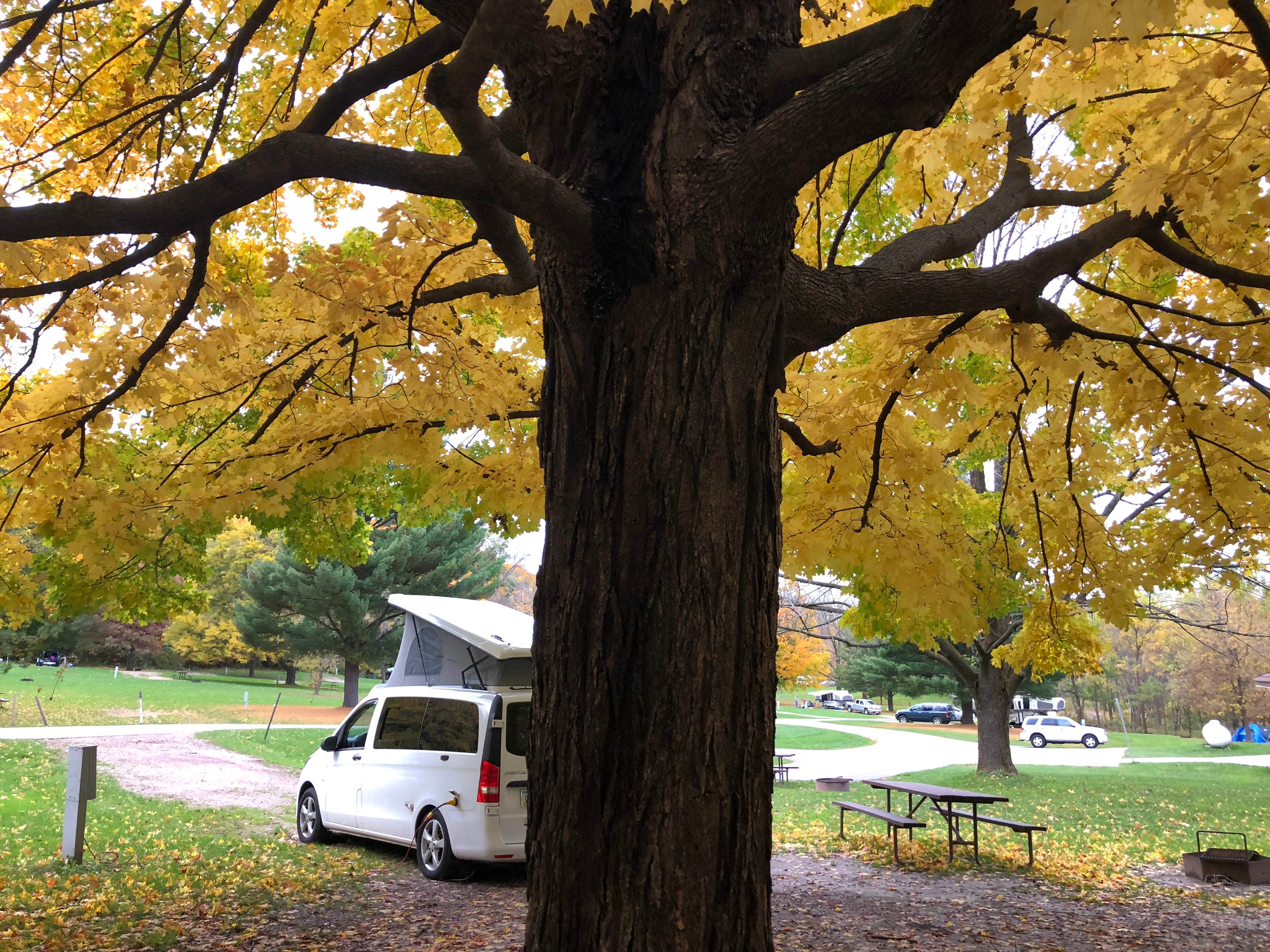 Lee D.'s photo of rv camping at Quartzite Campground — Devils Lake State Park near Portage, WI