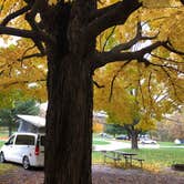 Review photo of Quartzite Campground — Devils Lake State Park by Lee D., October 12, 2018