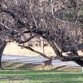 Review photo of Prairie Rose State Park by Calvin P., May 25, 2023