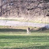 Review photo of Prairie Rose State Park by Calvin P., May 25, 2023