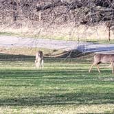 Review photo of Prairie Rose State Park by Calvin P., May 25, 2023