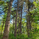 Review photo of Lac qui Parle Upper Campground — Lac qui Parle State Park by Calvin P., May 25, 2023