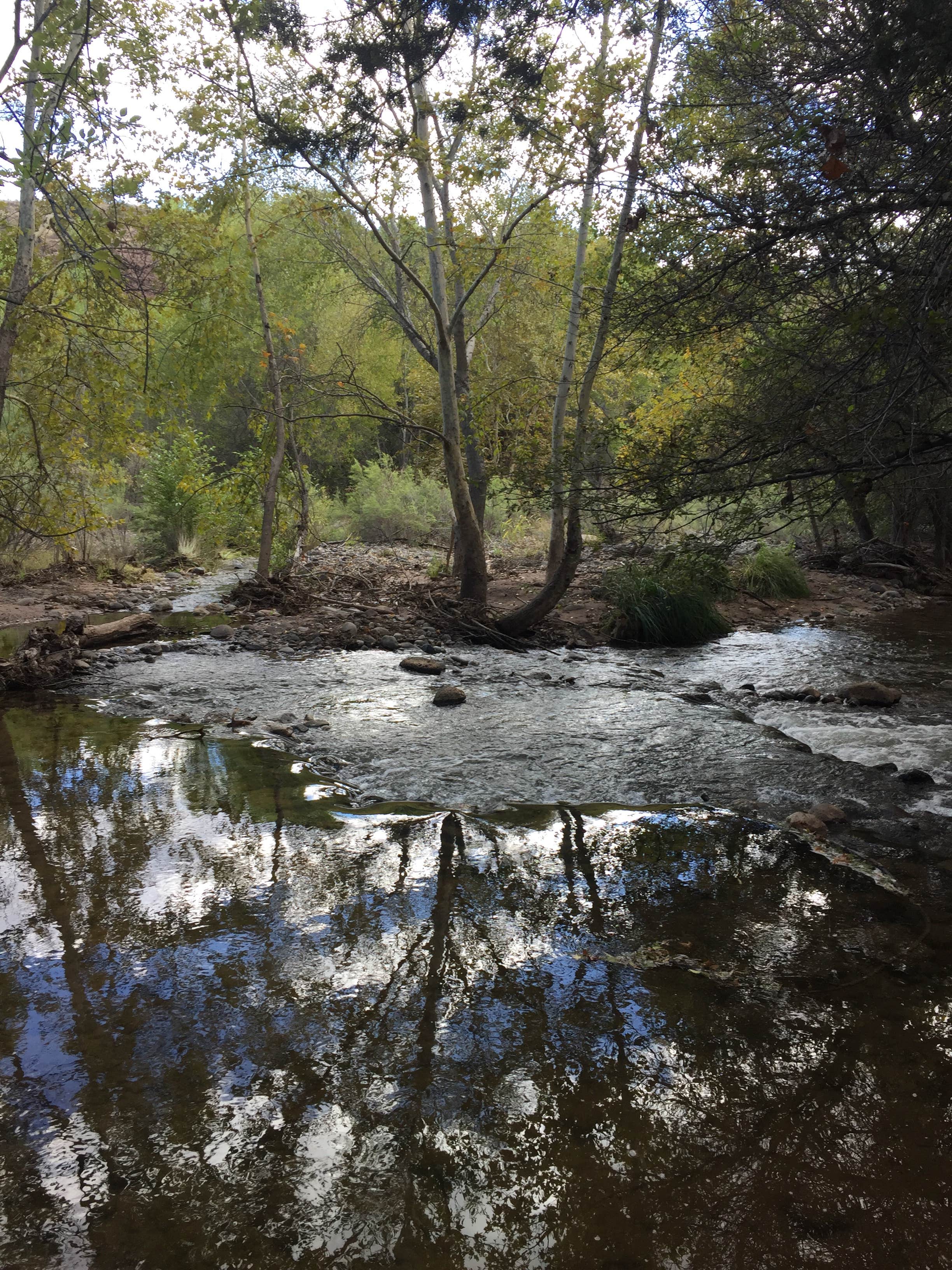 Camper submitted image from Clear Creek Campground - 4