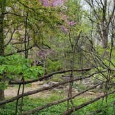 Review photo of Lac qui Parle Upper Campground — Lac qui Parle State Park by Calvin P., May 25, 2023