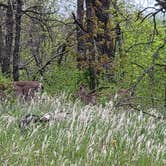 Review photo of Lac qui Parle Upper Campground — Lac qui Parle State Park by Calvin P., May 25, 2023