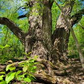 Review photo of Lac qui Parle Upper Campground — Lac qui Parle State Park by Calvin P., May 25, 2023