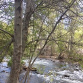 Review photo of Clear Creek Campground by Elizabeth C., October 13, 2018