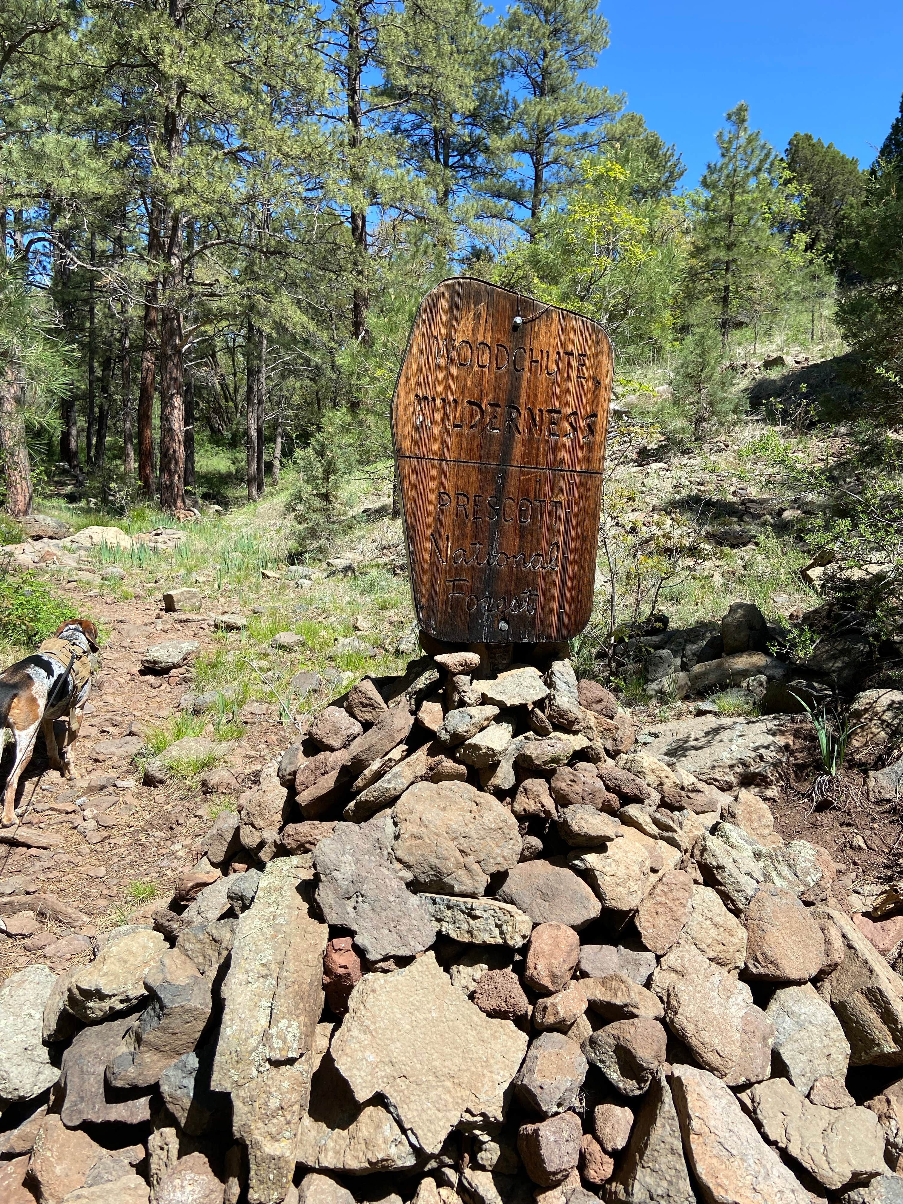 Justin M.'s photo of camping with pets at Potato Patch Campground near Cottonwood, AZ