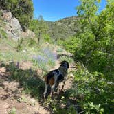 Review photo of Potato Patch Campground by Justin M., May 25, 2023