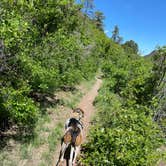 Review photo of Potato Patch Campground by Justin M., May 25, 2023