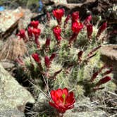 Review photo of Potato Patch Campground by Justin M., May 25, 2023