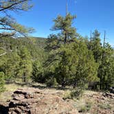 Review photo of Potato Patch Campground by Justin M., May 25, 2023