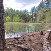 Review photo of Potato Patch Campground by Justin M., May 25, 2023