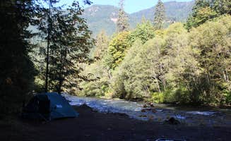 Jill R.'s photo at Paradise Campground near Willamette National Forest