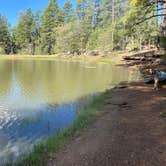 Review photo of Potato Patch Campground by Justin M., May 25, 2023