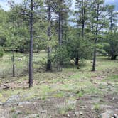 Review photo of Potato Patch Campground by Justin M., May 25, 2023