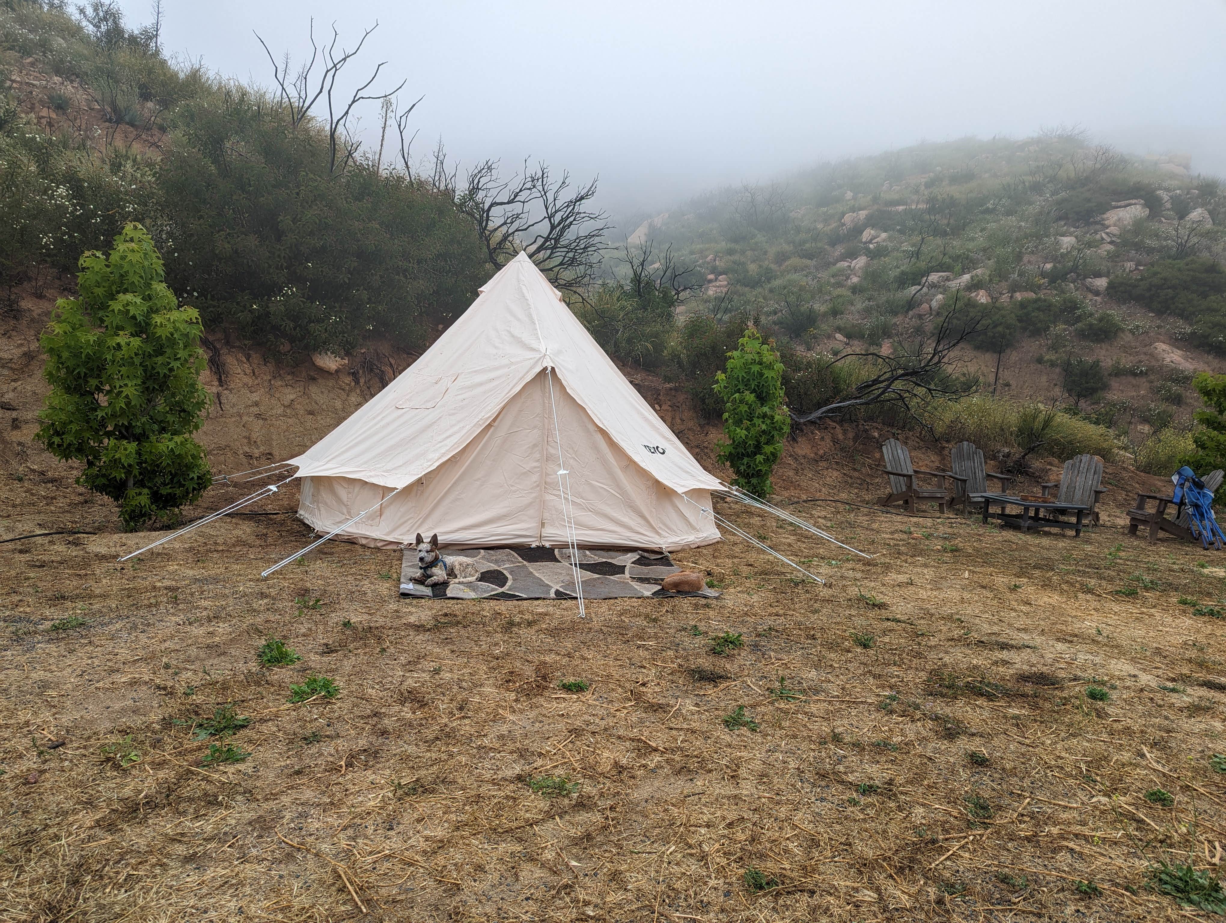 Jake C.'s photo at Hidden Haven Farms near San Diego, CA