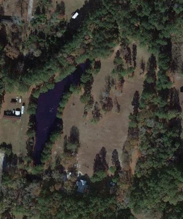 Camper-submitted photo at RV's Acres (he's the dog) near Drayton, SC