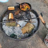 Review photo of D.H. Day Campground — Sleeping Bear Dunes National Lakeshore by Kaitlyn , May 22, 2023