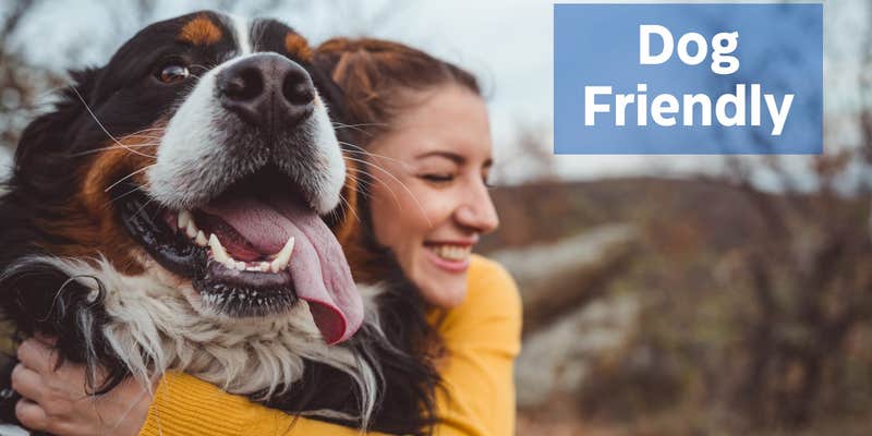 Camper submitted image from Cozy Cabin w Lake, Hot Tub, Huge Deck & Fire Pit