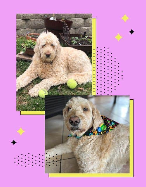 Camper-submitted photo at Professional Service Enterprise near Camdenton, MO