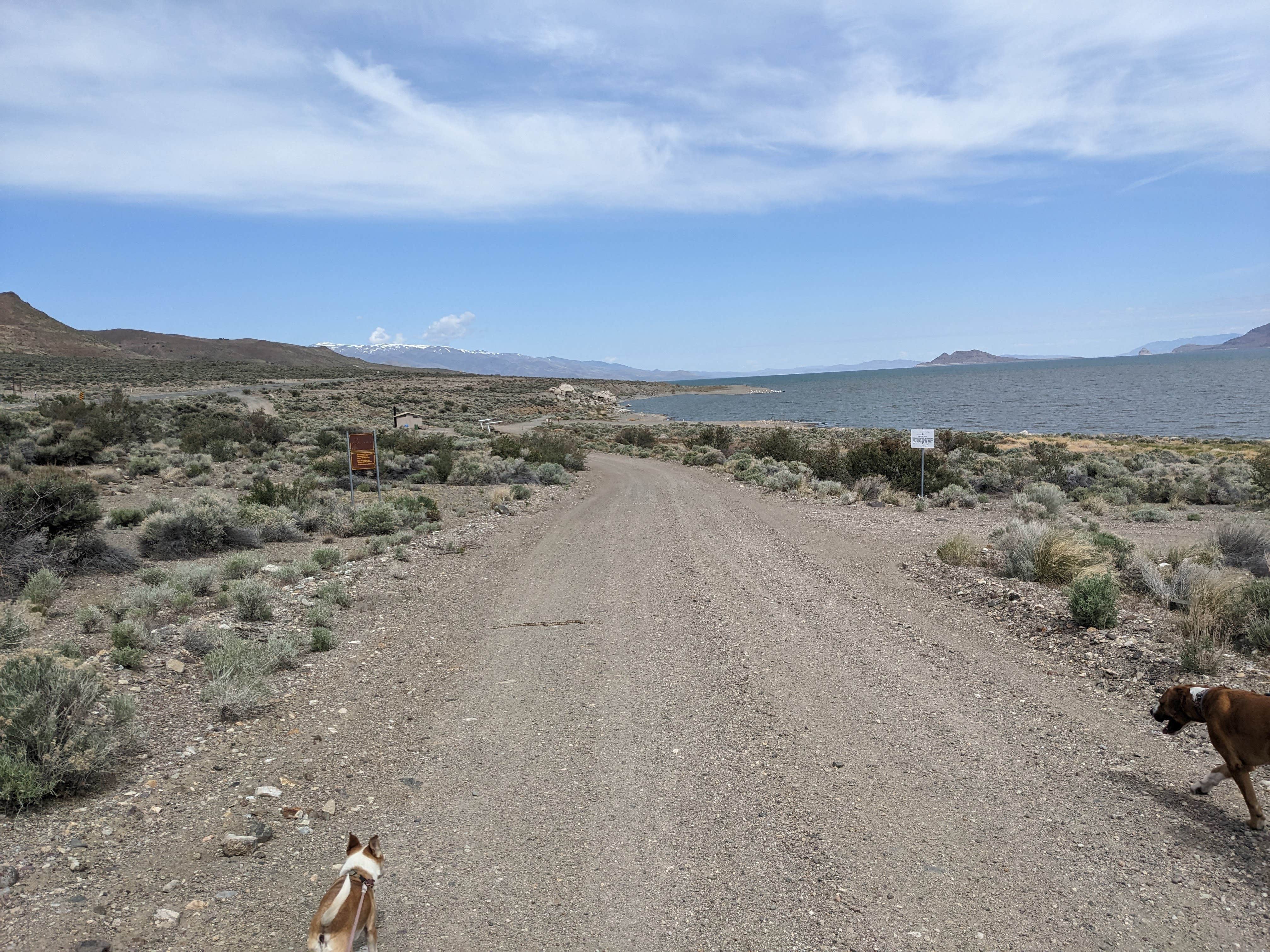 Laura M.'s photo of camping with pets at Popcorn Rock Beach / Pyramid Lake near Fallon, NV