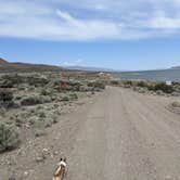 Review photo of Popcorn Rock Beach / Pyramid Lake by Laura M., May 26, 2023