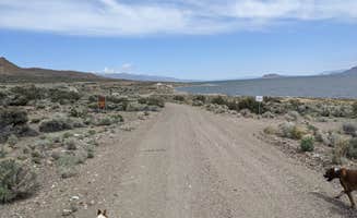 Laura M.'s photo of camping with pets at Popcorn Rock Beach / Pyramid Lake in Nevada
