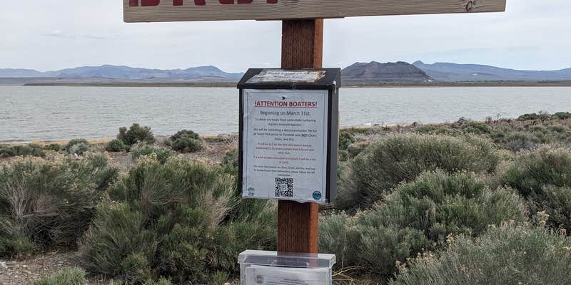 Camper submitted image from Popcorn Rock Beach / Pyramid Lake