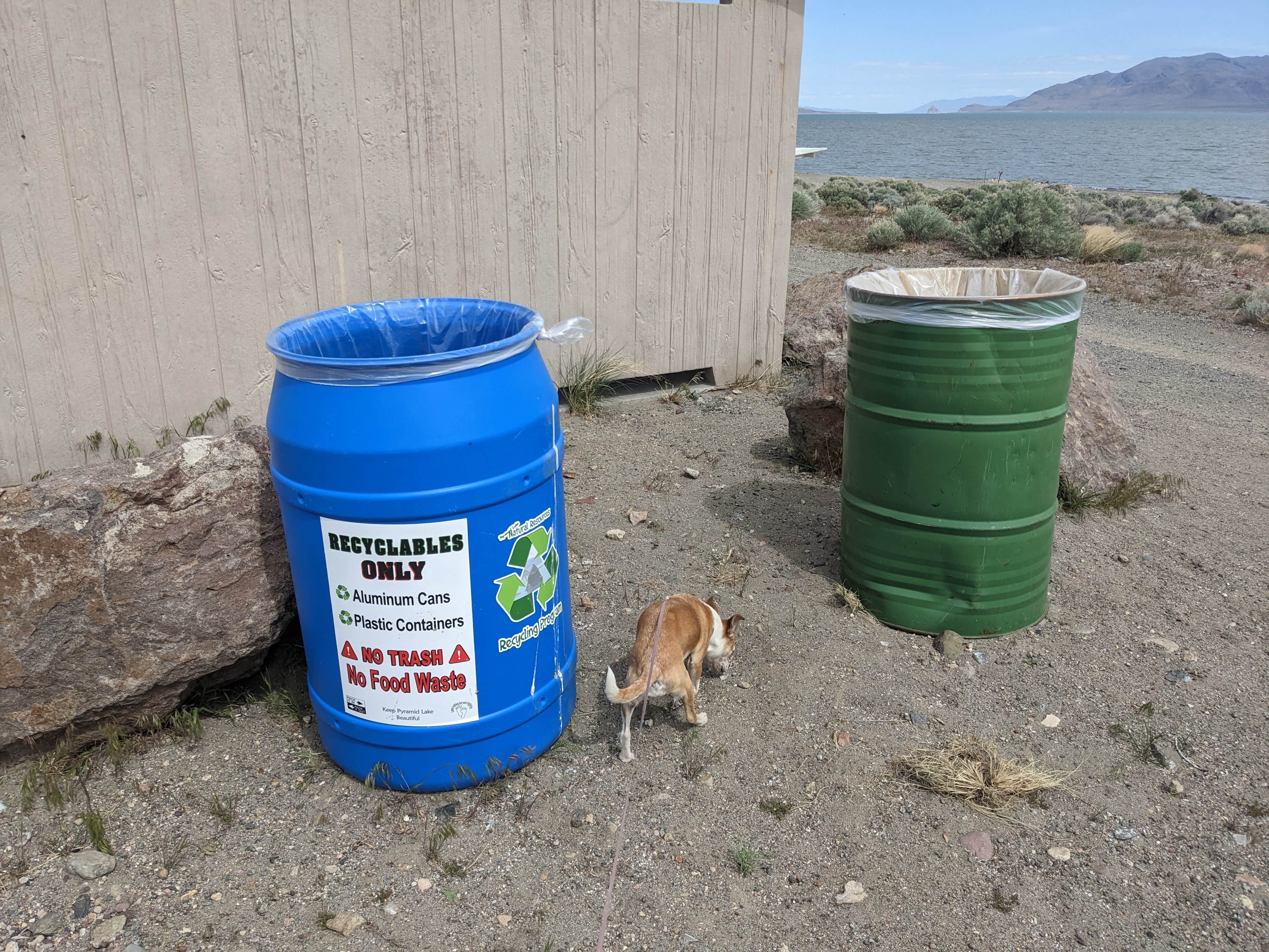 Camper-submitted photo at Popcorn Rock Beach / Pyramid Lake near Nixon, NV