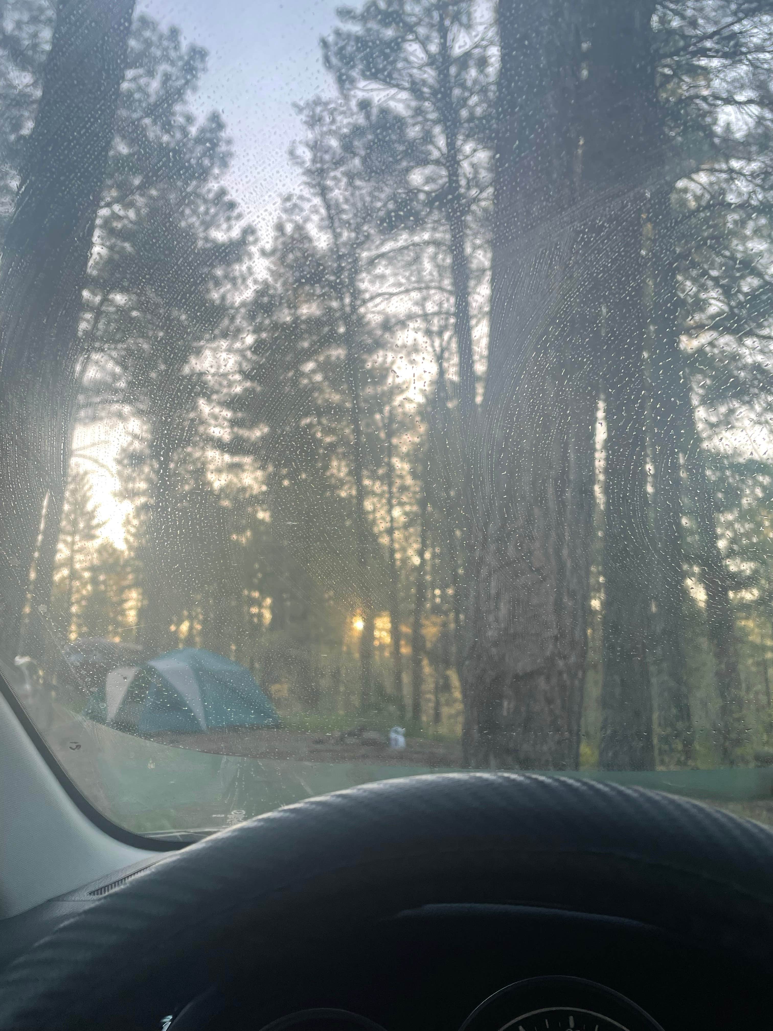 Katherine J.'s photo of a dispersed camping area at Pumphouse Wash (FR 237) Dispersed Camping Area near Coconino National Forest